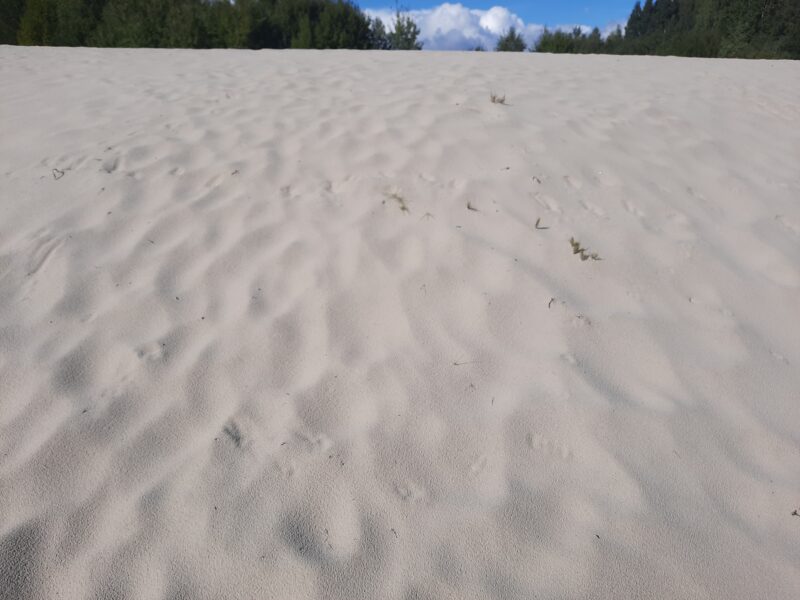 На ТрансСибе, Кварцевый формовочный песок 39,2 млн. тонн.